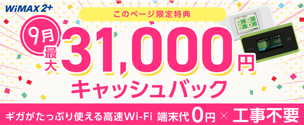WiMAX202009